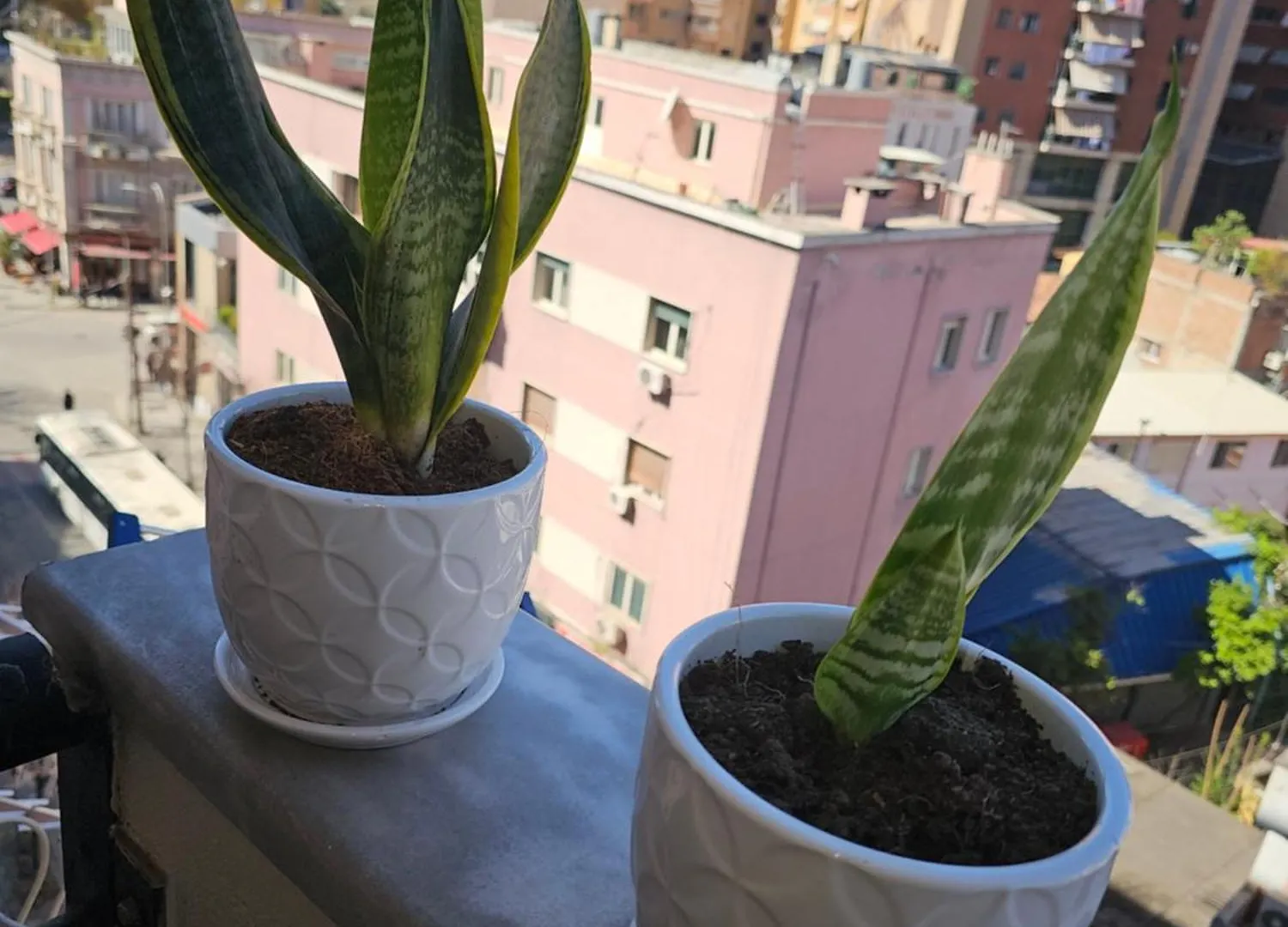 Tirana Center Apartment 12 Αλβανία